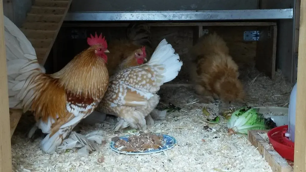 Ferienwohnung Kruis Schoenau am Koenigsee Germany